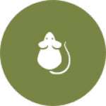 Mouse Removal Toronto | GreenLeaf Pest Control