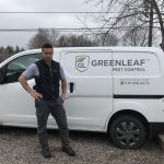 Best Pest Control Services in Toronto | GreenLeaf Pest Control