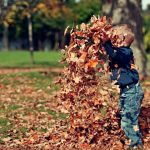 Photo of Boy Playing With Fall Leaves Outdoors