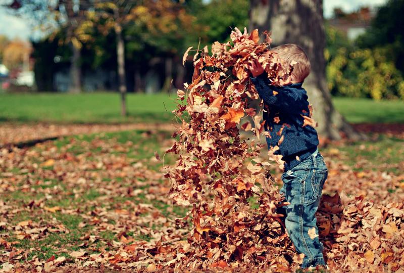 Photo of Boy Playing With Fall Leaves Outdoors